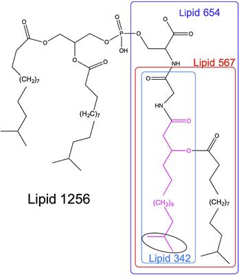 Serine/Glycine Lipid Recovery in Lipid Extracts From Healthy and Diseased Dental Samples: Relationship to Chronic Periodontitis